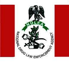 ndlea