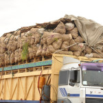 Customs, dry meat , Kebbi