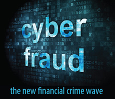 cyber fraudsters