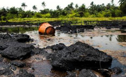 Shell failed to clear Nigeria's oil spills - Amnesty International, CHRD