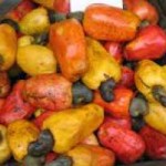 cashew-