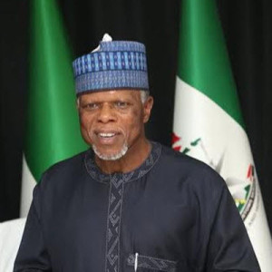 CG Customs Hameed Ali