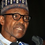 MEND decries military's use of force in N'Delta