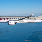 Bird strike forces Qatar Airways plane into emergency landing