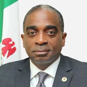 Executive Secretary, NEPC Segun Awolowo.