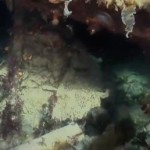 hms-terror