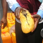 Indian hemp importer nabbed at Seme border, arraigned by NDLEA