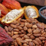 nigeria export