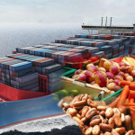 Non-oil export: NSC, NEPC, others task FG on infrastructures 