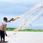 Kaduna fishermen lament disappearance of fish species