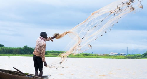 fishing trawlers