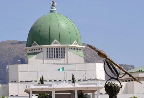 Unknown military jet hovers over NASS