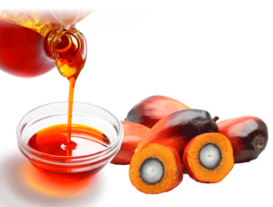 palm-oil