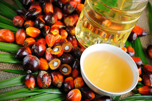 Senate seeks ban on importation of palm oil