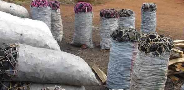 Truck driver steals 100 bags of charcoal from exporter