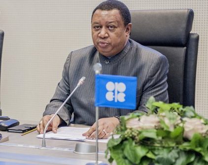 Image result wey dey for OPEC, Mohammed Barkindo