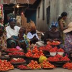 Moody's endorses Nigeria's economic policies