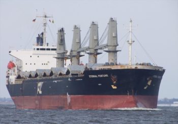 salvage-underway-after-crew-abandons-bulk-carrier-off-cape-town