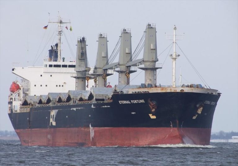 Salvage underway after crew abandons bulk carrier off Cape Town - Ships ...