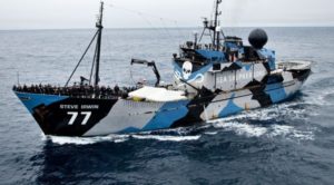 Sea Shepherd ships set sail on whale defense campaign