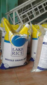 lake-rice-2