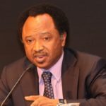 Anti-corruption: Shehu Sanni accuses Buhari of 'double standard' 