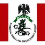 ndlea-logo