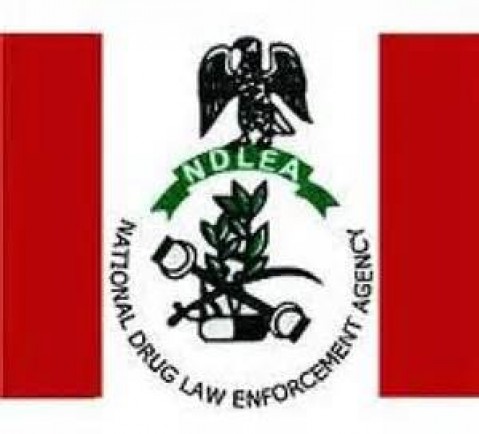 NDLEA arraigns Igboaka for illegal importation of tramadol