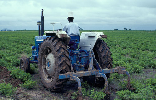 Agric: Nigeria to get $1.1bn boost from Brazil