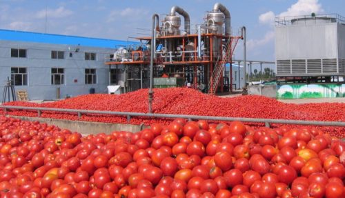 Nigeria moves to end importation of tomato paste