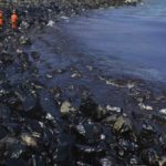 India impounds ships, detain crews over oil spill