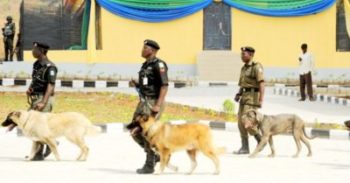 Police sniffer dogs