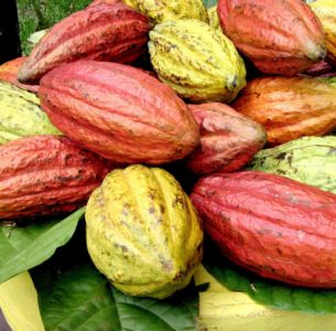 improve agro produce export