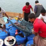32 refugees killed in helicopter attack on boat in Yemen