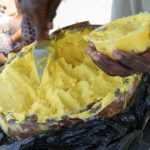 Niger exports 57% of world shea butter production