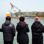 Bones found near salvaged Sewol ferry not human, says ministry
