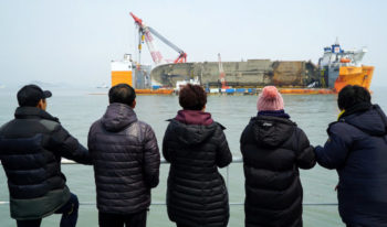 Bones found near salvaged Sewol ferry not human, says ministry