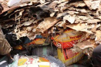Customs impounds 317 bags of rice concealed with animal skin