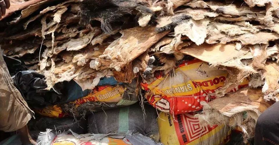 Customs impounds 317 bags of rice concealed with animal skin