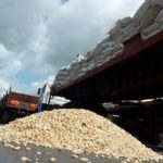 Maize export