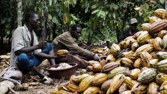 Ghana's Cocobod eyes $1.5bn from China's Eximbank 