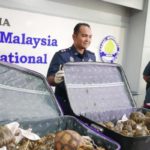 Customs-officers-at-Malaysian-airport-seize-330-tortoises