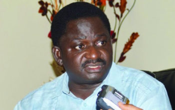 Femi Adesina