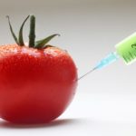 GMOs2