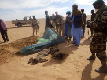 Smuggling: Five children, three others die of thirst in Niger