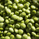 Pigeon pea