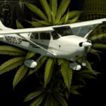 pilot-marijuana