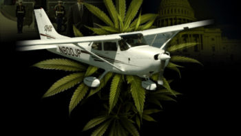 pilot-marijuana