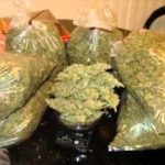 weeds seized by NDLEA