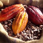 agric exports